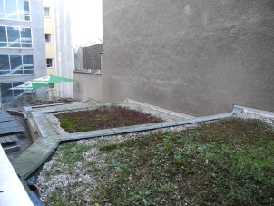 Une surface plane, un peu de gravier, laisser reposer un ou deux ans... voici une toiture végétalisée spontanée, qui ne demande ni semis, ni arrosage, ni engrais (Cologne, Allemagne)