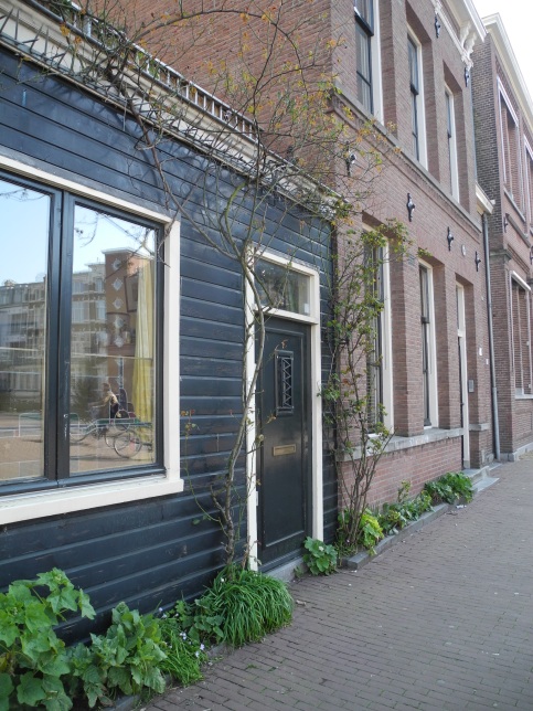 Déminéraliser les trottoirs pour faire fleurir les murs (Amsterdam, Pays-Bas)